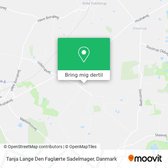 Tanja Lange Den Faglærte Sadelmager kort