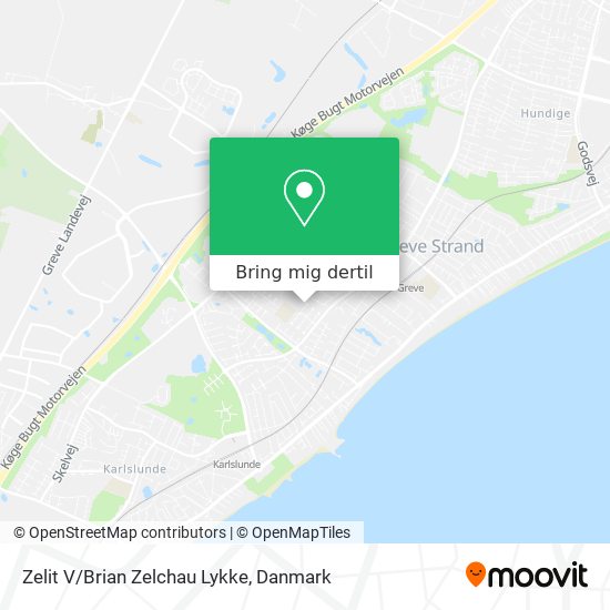Zelit V/Brian Zelchau Lykke kort