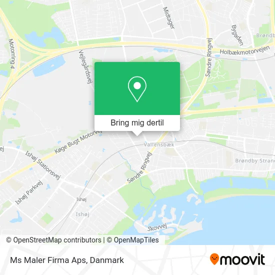 Ms Maler Firma Aps kort