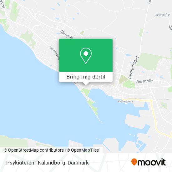 Psykiateren i Kalundborg kort