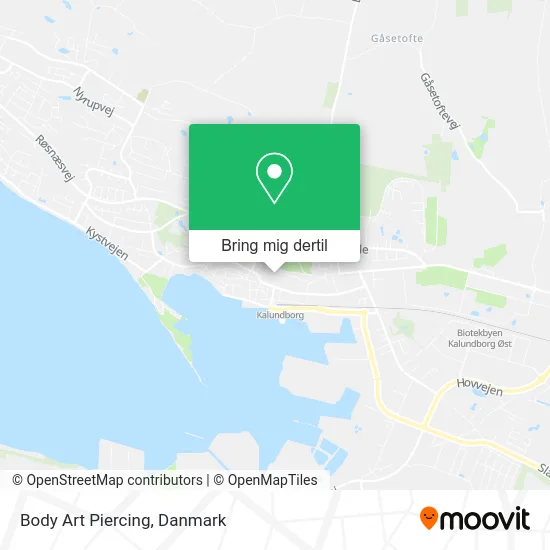 Body Art Piercing kort