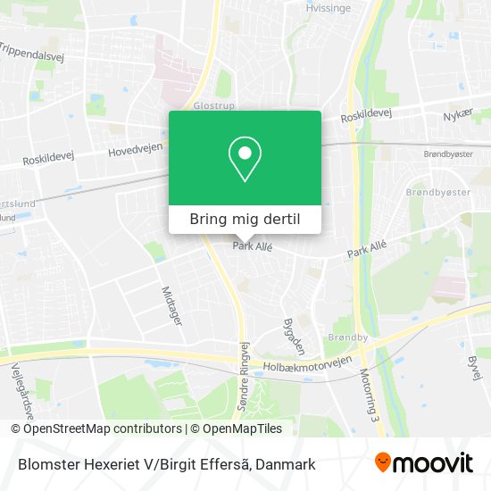 Blomster Hexeriet V / Birgit Effersã kort