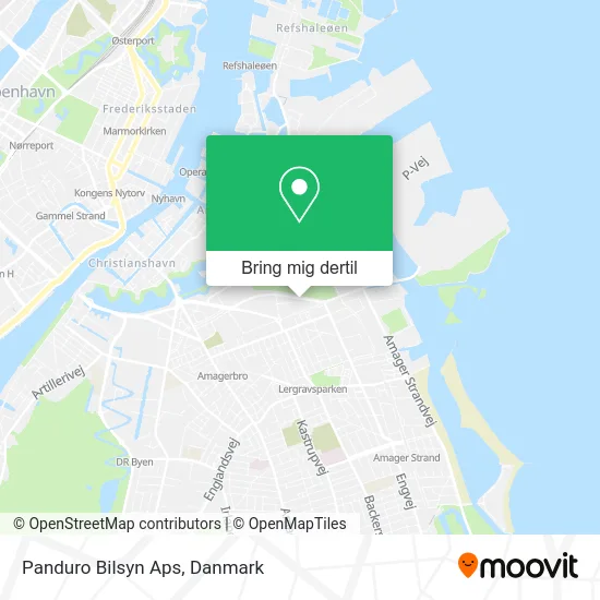 Panduro Bilsyn Aps kort