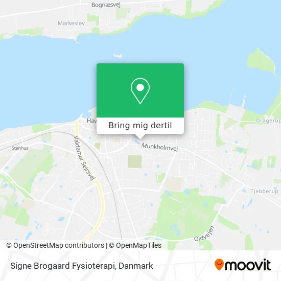 Signe Brogaard Fysioterapi kort