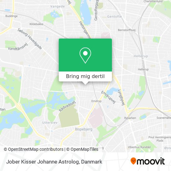 Jober Kisser Johanne Astrolog kort