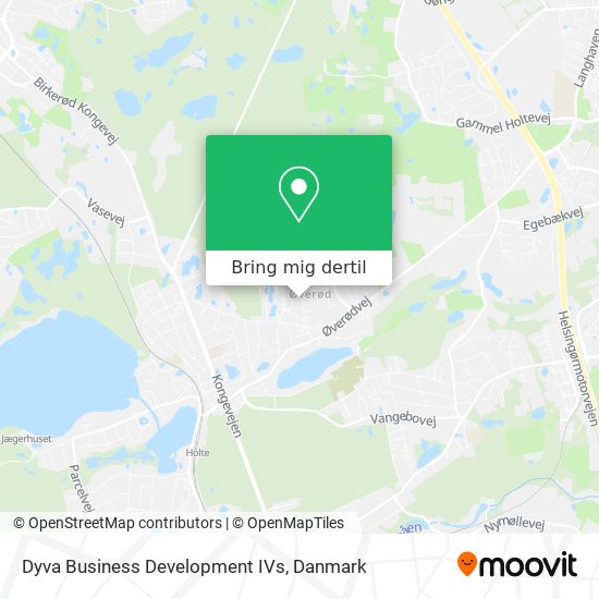 Dyva Business Development IVs kort