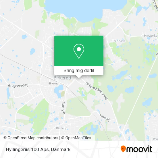 Hyllingeriis 100 Aps kort