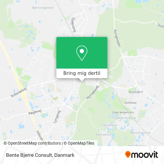 Bente Bjerre Consult kort