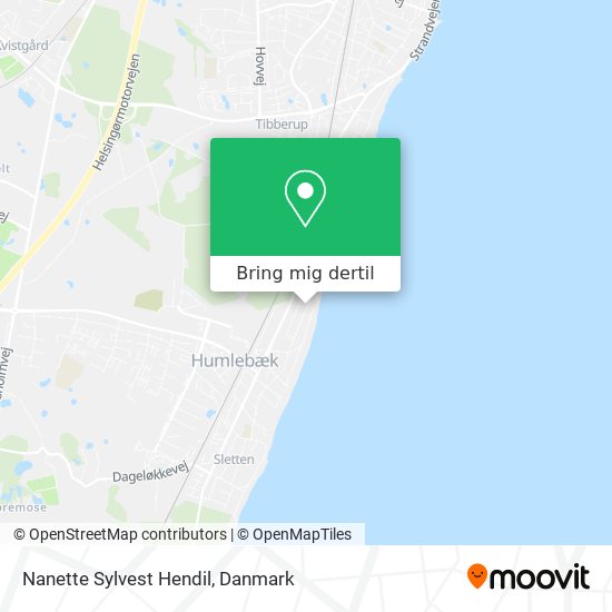 Nanette Sylvest Hendil kort