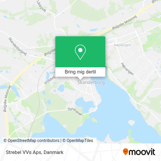 Strebel VVs Aps kort