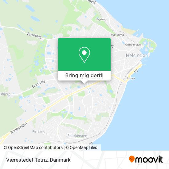 Værestedet Tetriz kort