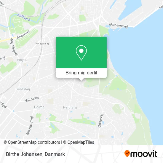 Birthe Johansen kort