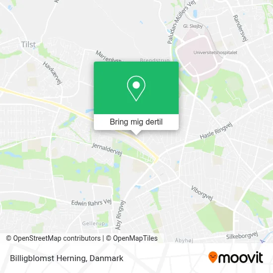 Billigblomst Herning kort