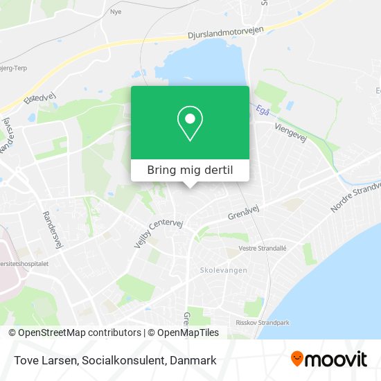 Tove Larsen, Socialkonsulent kort