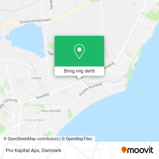 Pro Kapital Aps kort