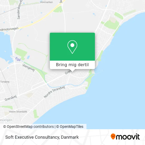 Soft Executive Consultancy kort