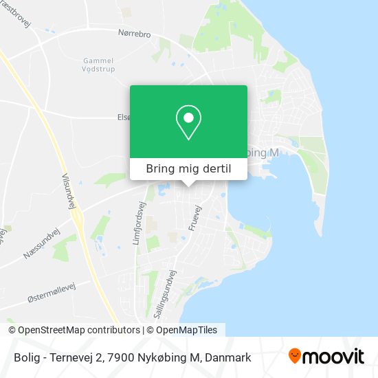 Bolig - Ternevej 2, 7900 Nykøbing M kort