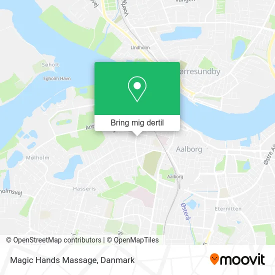 Magic Hands Massage kort