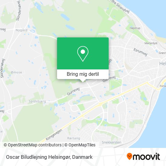 Oscar Biludlejning Helsingør kort