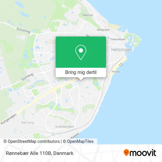 Rønnebær Alle 110B kort