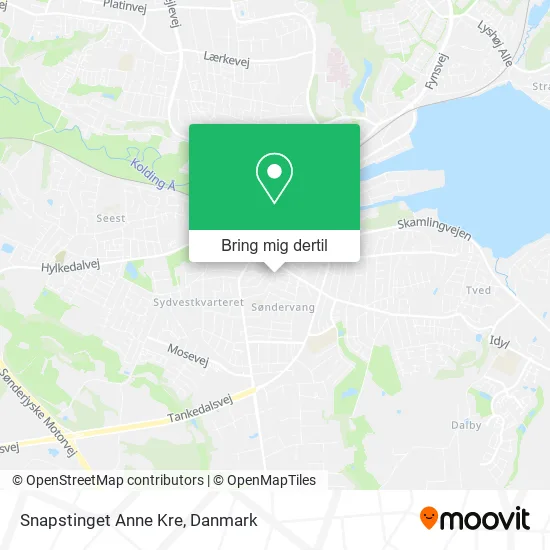 Snapstinget Anne Kre kort