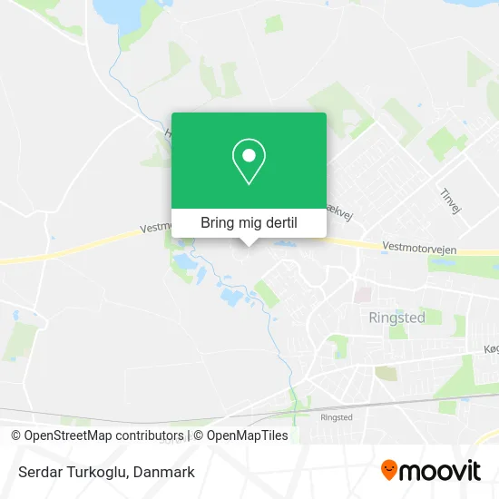 Serdar Turkoglu kort