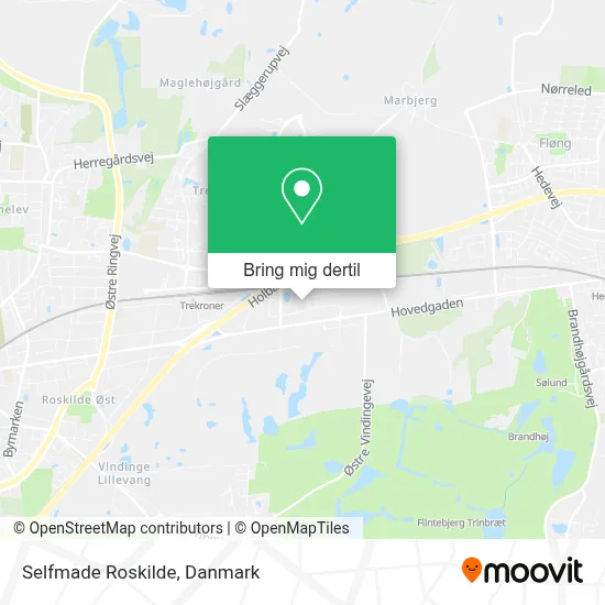 Selfmade Roskilde kort