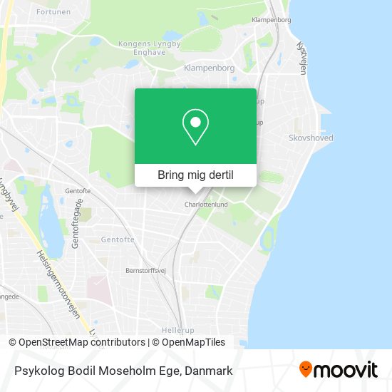 Psykolog Bodil Moseholm Ege kort