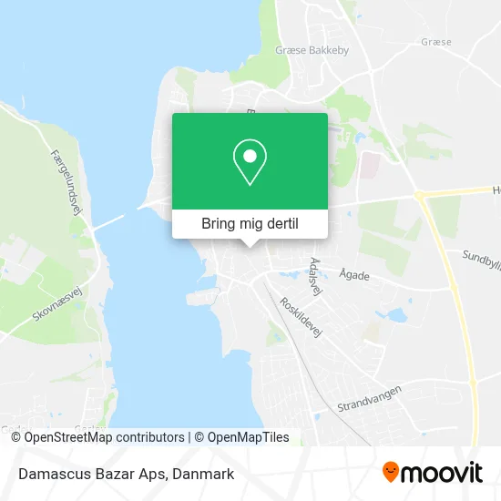 Damascus Bazar Aps kort