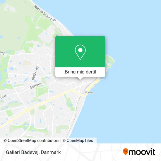 Galleri Badevej kort