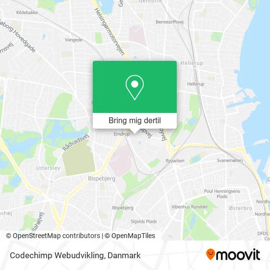 Codechimp Webudvikling kort