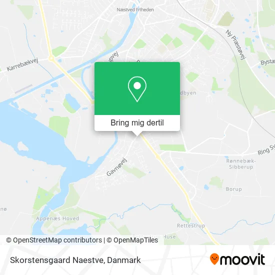 Skorstensgaard Naestve kort