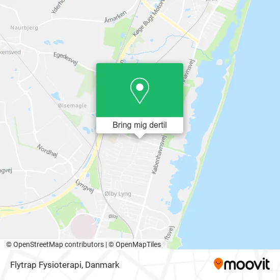 Flytrap Fysioterapi kort