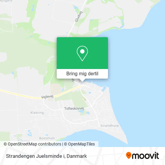 Strandengen Juelsminde i kort