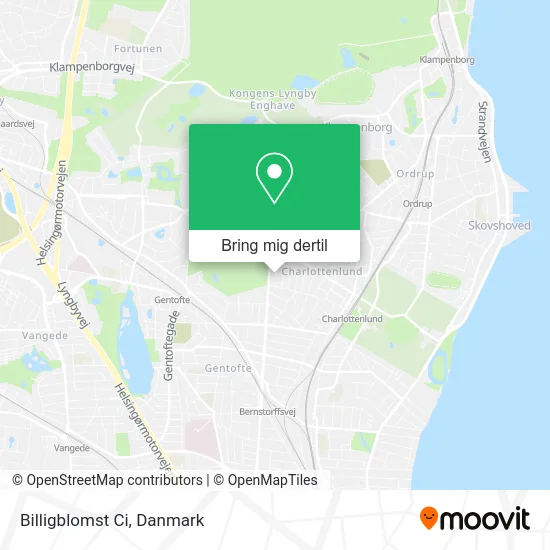 Billigblomst Ci kort