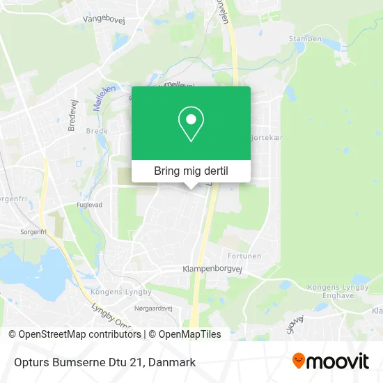 Opturs Bumserne Dtu 21 kort