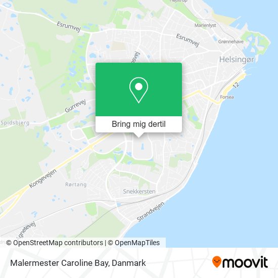 Malermester Caroline Bay kort