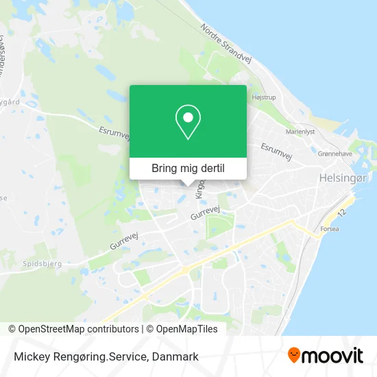 Mickey Rengøring.Service kort