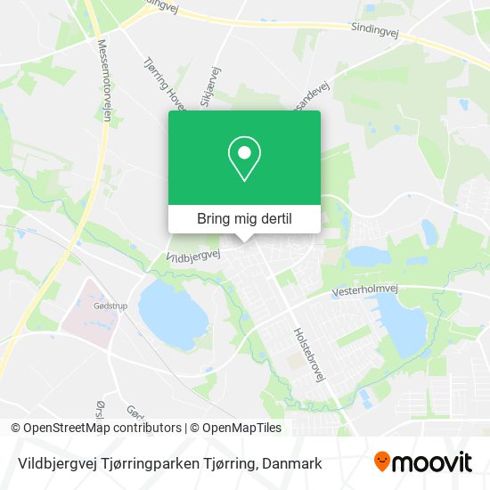 Vildbjergvej Tjørringparken Tjørring kort