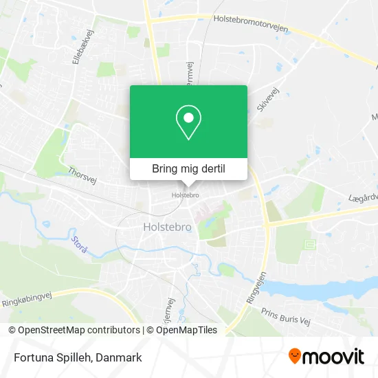 Fortuna Spilleh kort