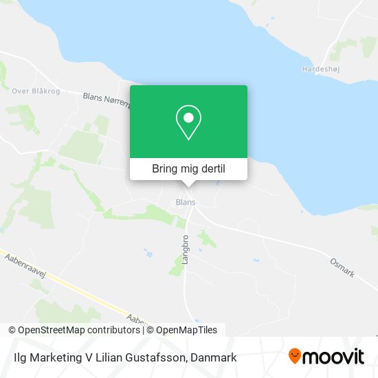 Ilg Marketing V Lilian Gustafsson kort