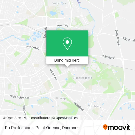 Pp Professional Paint Odense kort