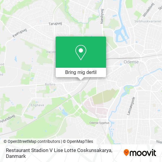 Restaurant Stadion V Lise Lotte Coskunsakarya kort