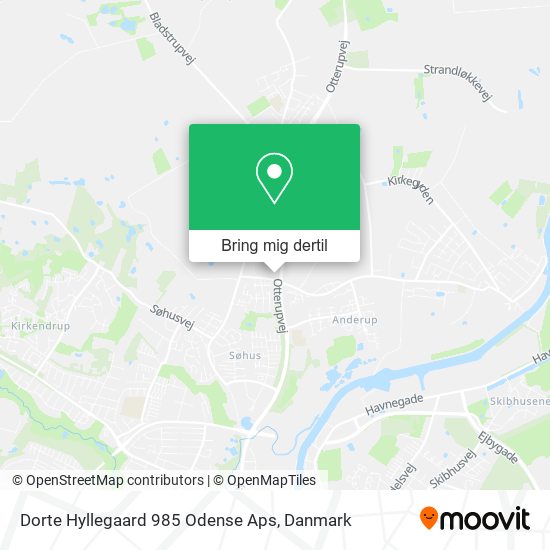 Dorte Hyllegaard 985 Odense Aps kort