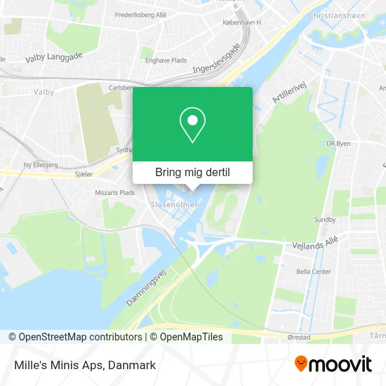 Mille's Minis Aps kort