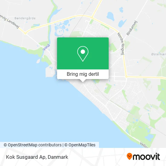 Kok Susgaard Ap kort