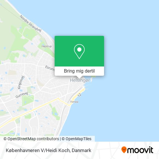 Københavneren V/Heidi Koch kort