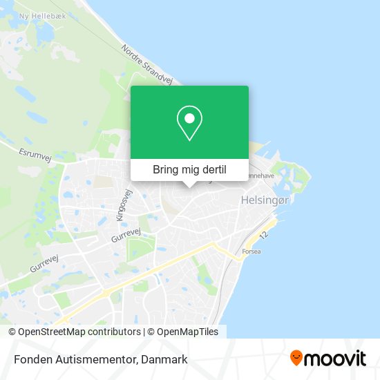 Fonden Autismementor kort