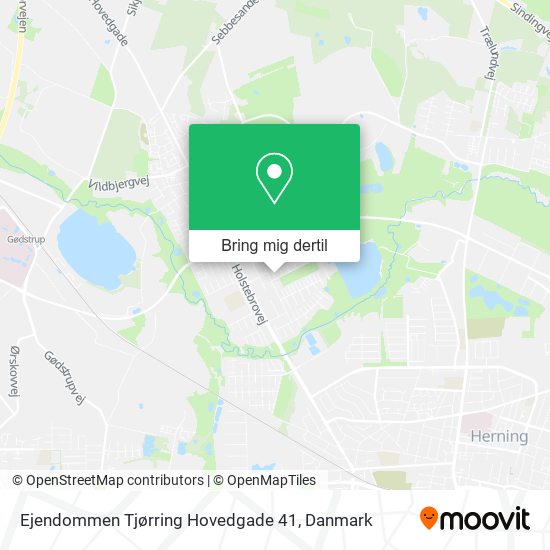 Ejendommen Tjørring Hovedgade 41 kort