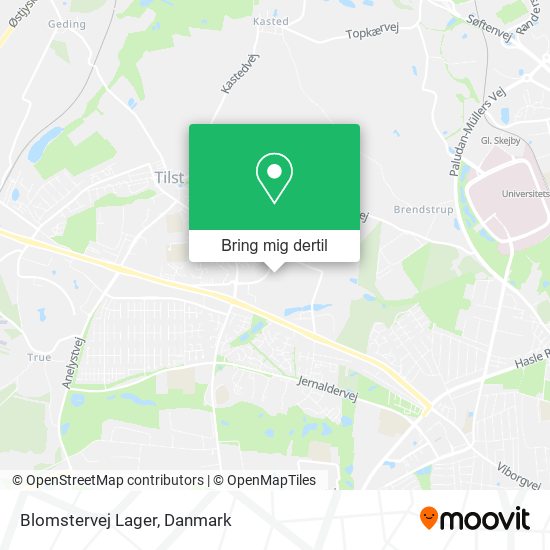 Blomstervej Lager kort